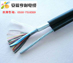 (广东)(ZRC-JYVP2R22本安信号屏蔽电缆)(西北轴承)