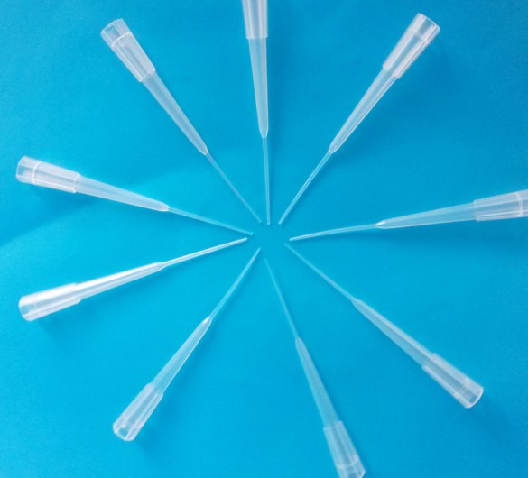 厂家供应 whb 10-200ul电泳加样吸头 移液器吸嘴枪头 袋装/盒装